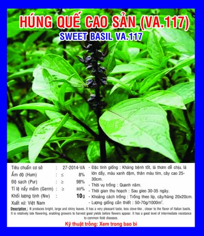 Rau húng quế - Việt á Seeds - Công Ty TNHH Phát Triển Nông Nghiệp Việt Á